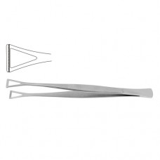Collin-Duval Intestinal Forceps Stainless Steel, 20 cm - 8" Width 27.0 mm